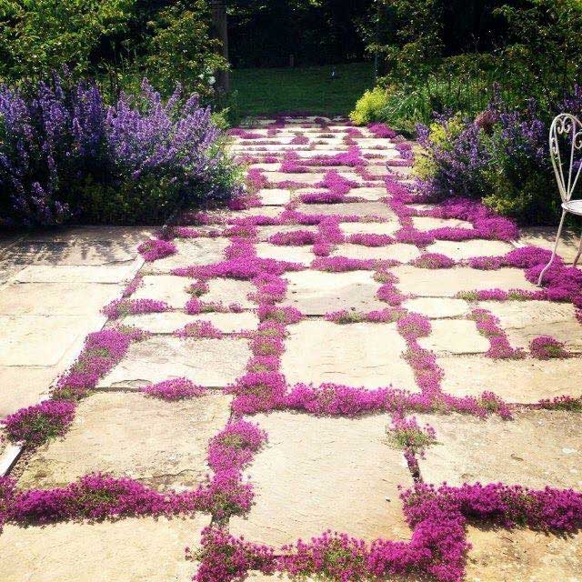 How to design paths that please | Marian Boswall Landscape Architects
