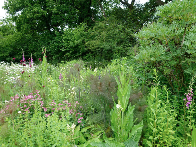 Team Visit Review | Marian Boswall Landscape Architects